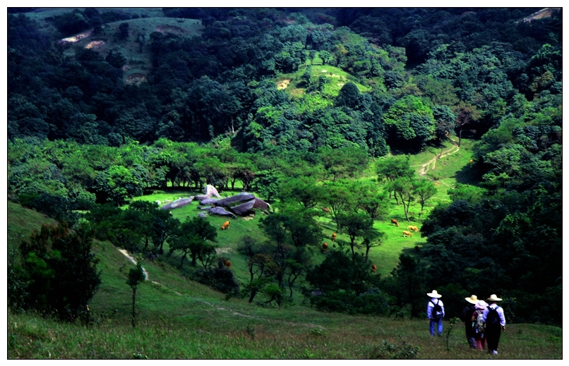 羅定市標籤: 風景區 旅遊景點 八排山共多少人瀏覽:3537674 電話