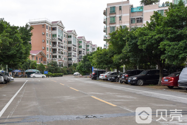 广东省广州市番禺区洛溪南浦岛南浦大道