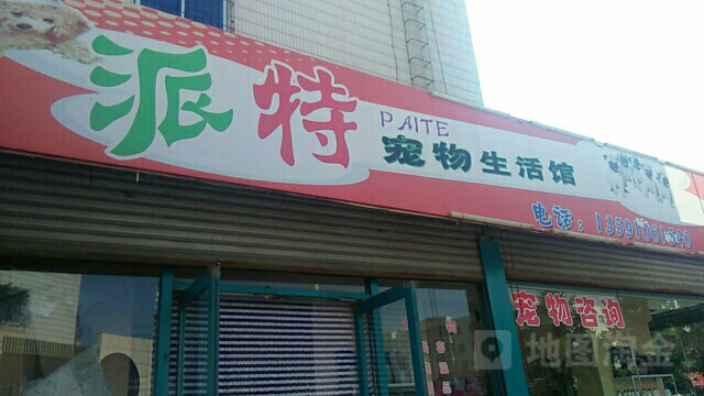 派特宠物生活馆(文化路店)