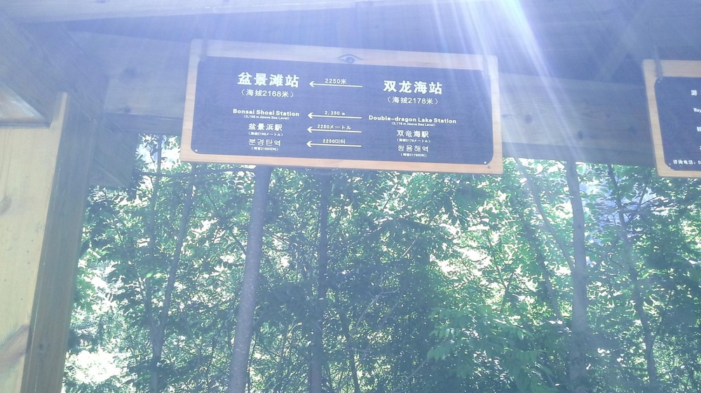 双龙海乘车点