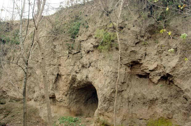 地址(位置,怎麼去,怎麼走): 山東省棗莊市臺兒莊區曬米城遺址(棗臺路