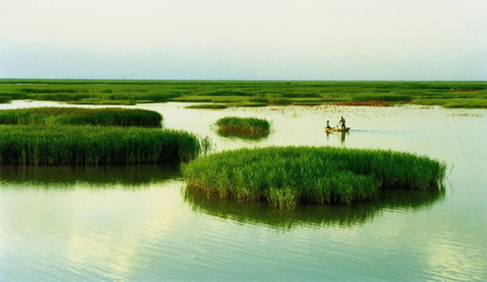 鸟类自然保护区