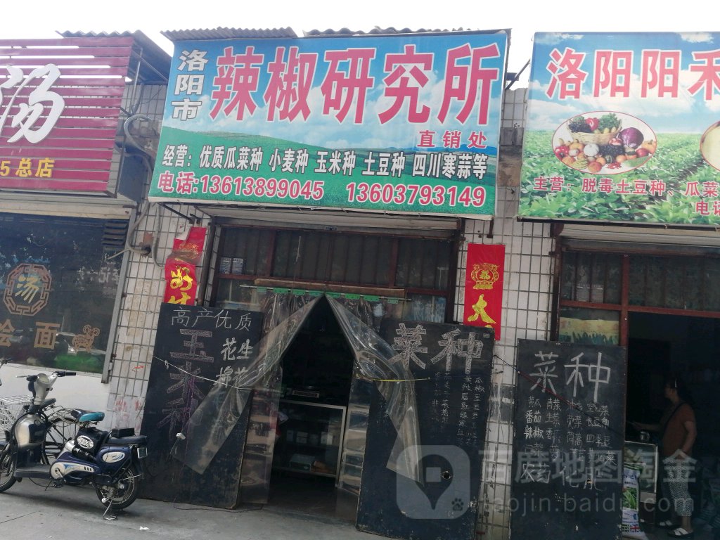 洛阳市红辣椒研究所