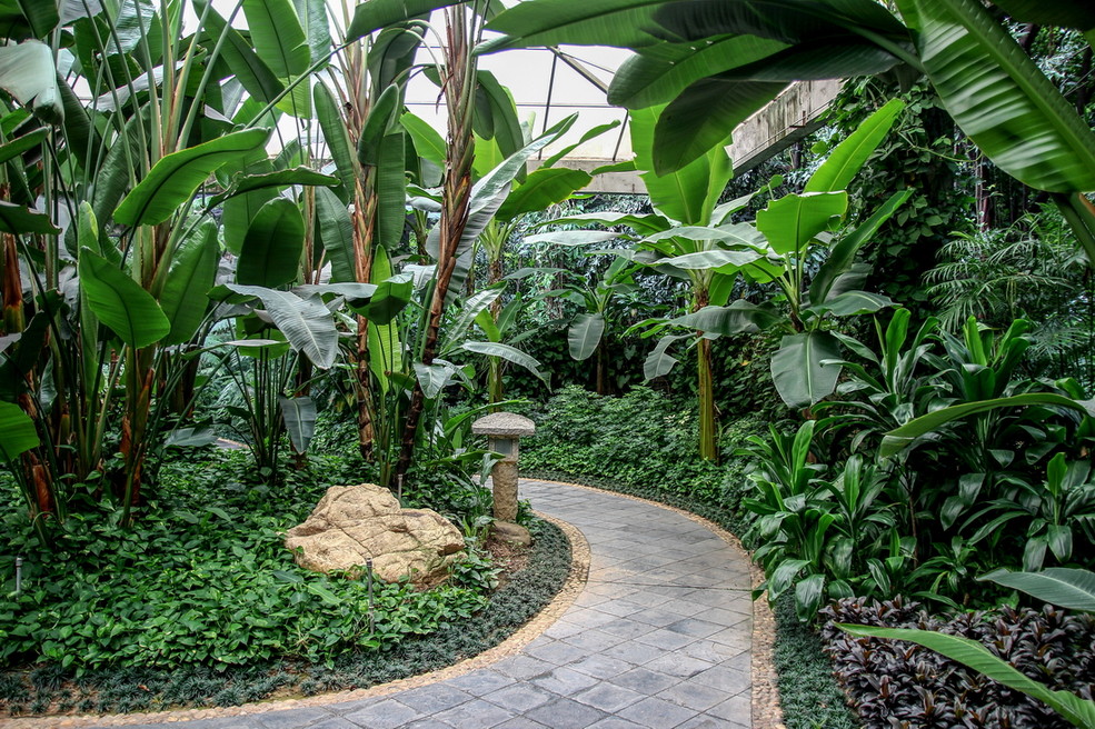荫生植物园