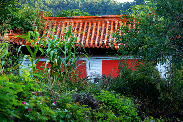 仙隐寺