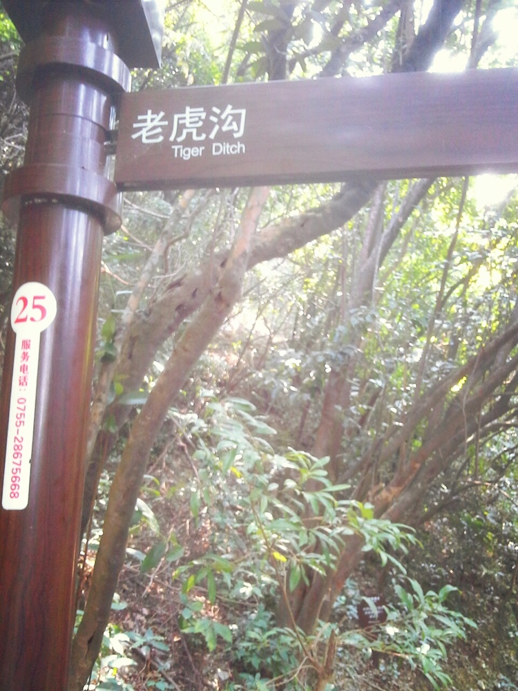 园山风景区-老虎沟