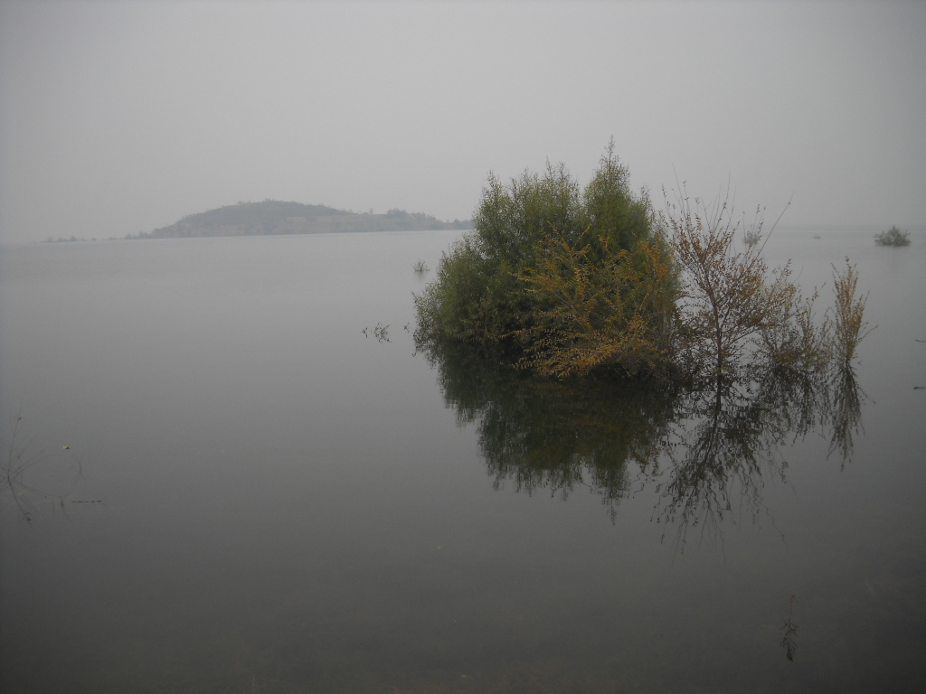 浙江省丽水市缙云县大洋水库(坦五线南150米)