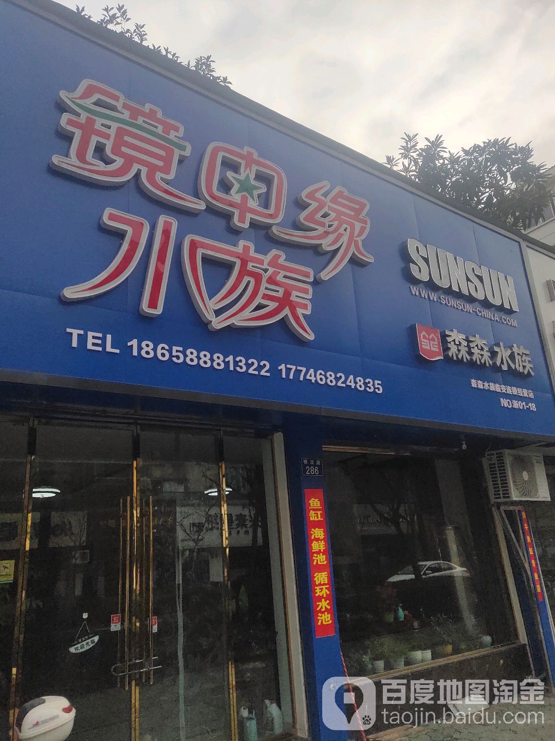 镜中缘水族