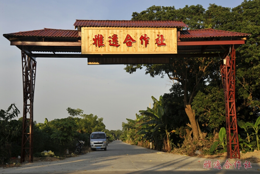 汕头市澄海区雅逸果林专业合作社
