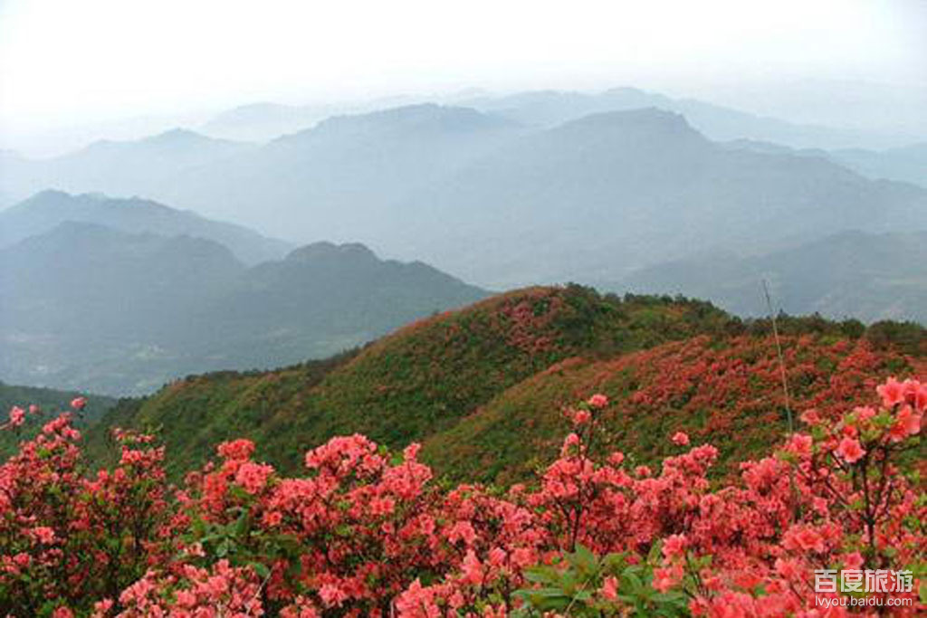 龙全山