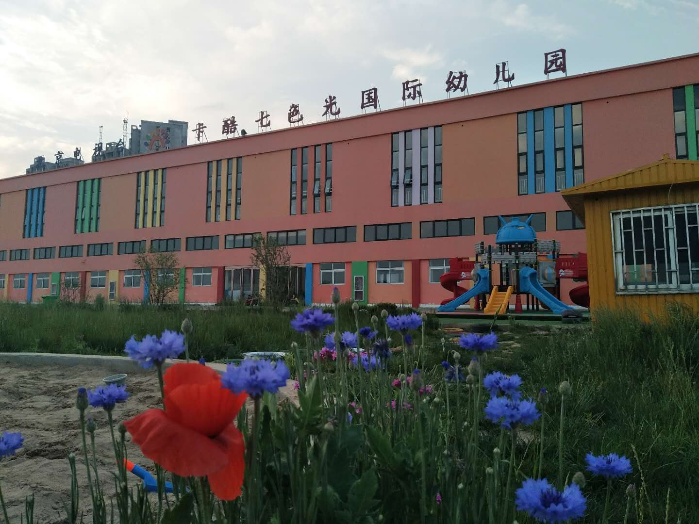 渑池县城关镇万洋幼儿园的图片