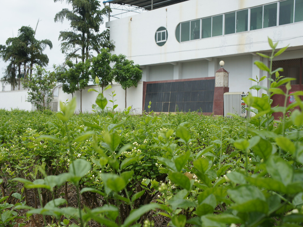 广西壮族自治区南宁市横州市云表镇飘竹村