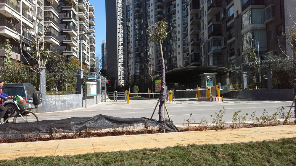 金江小区·融苑-西门