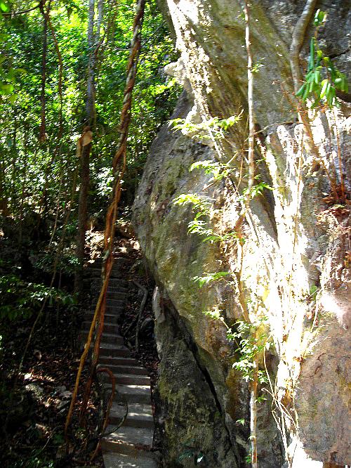 绿石林景区