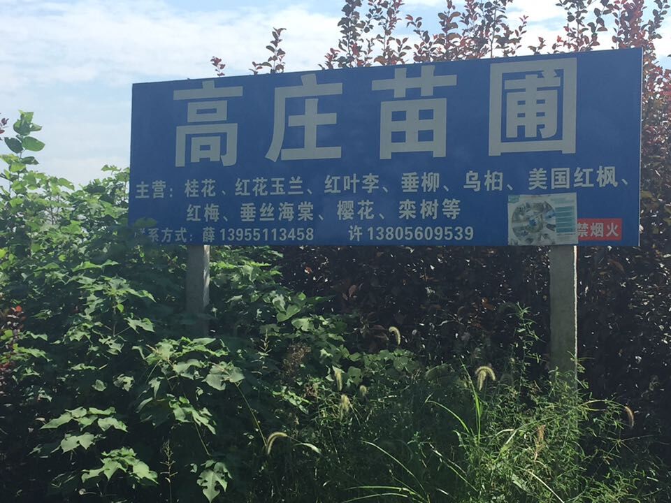 合肥市高中苗圃有限公司