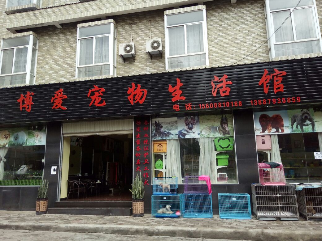 博爱动物医院(景洪店)