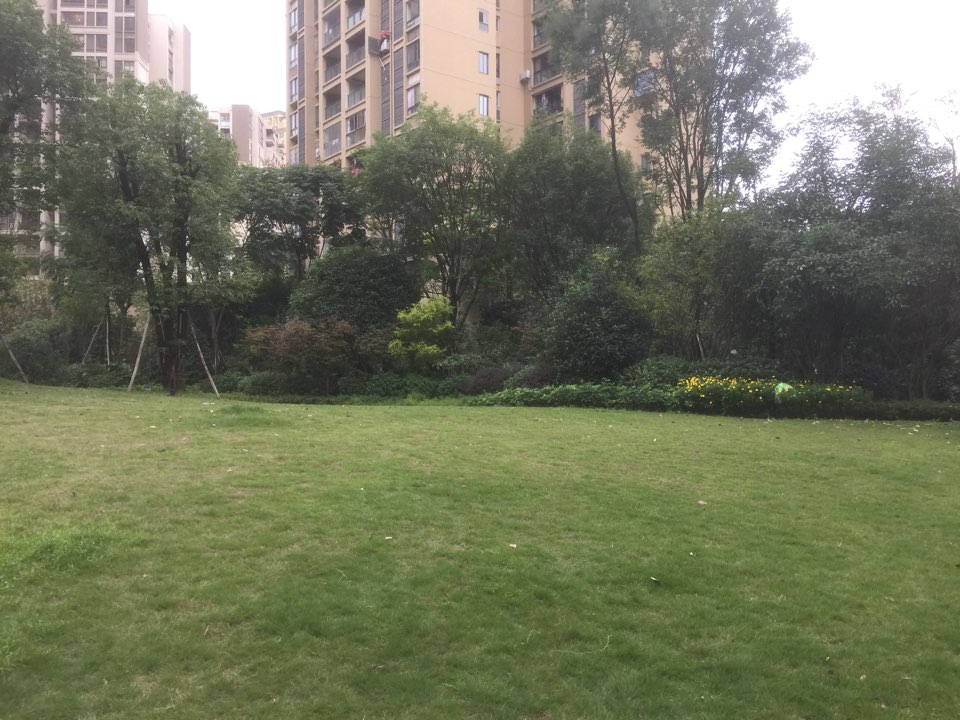 康田东郡