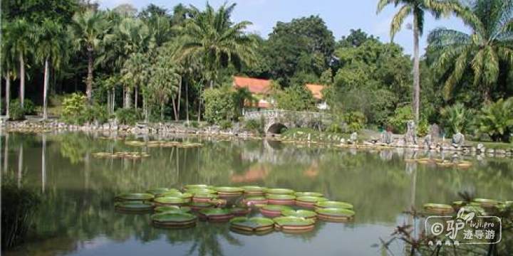 水生植物园