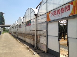 沙漠植物园