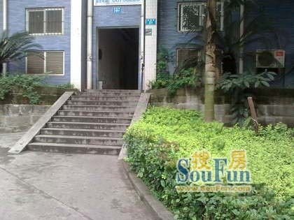 北城风光