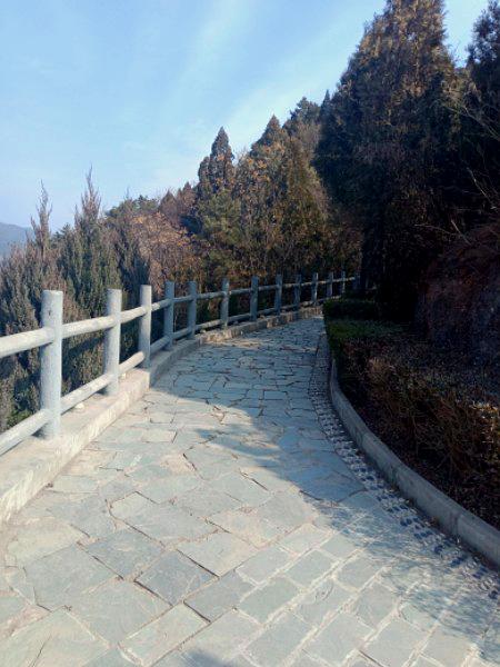 苍龙山森林公国