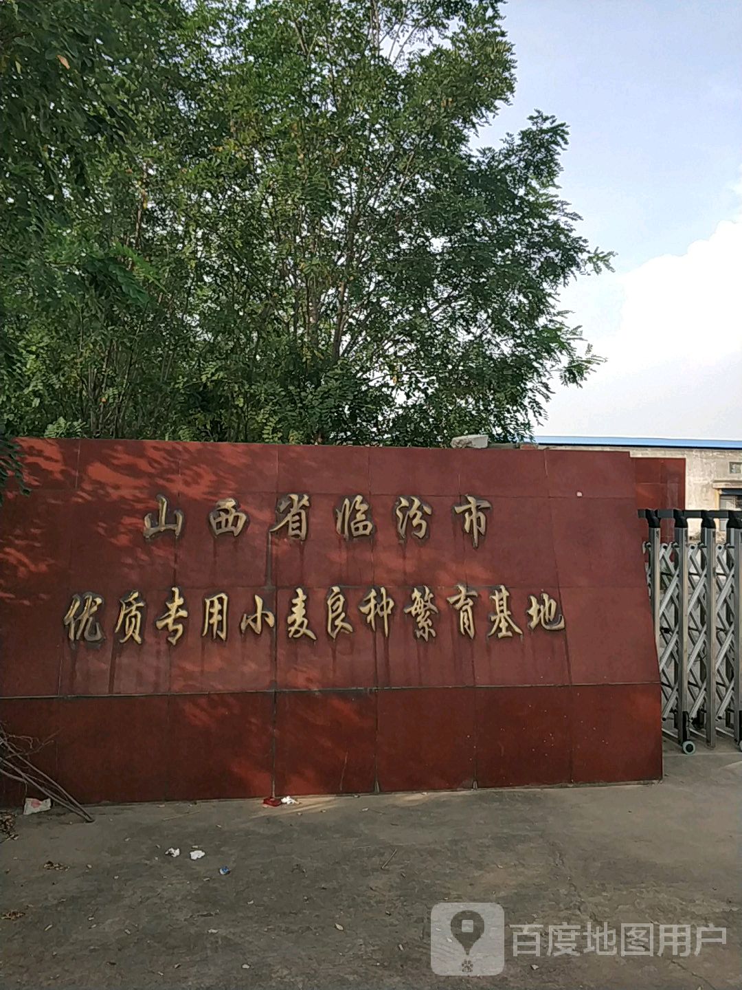 山西省临汾市优质专用小麦良种繁育基地