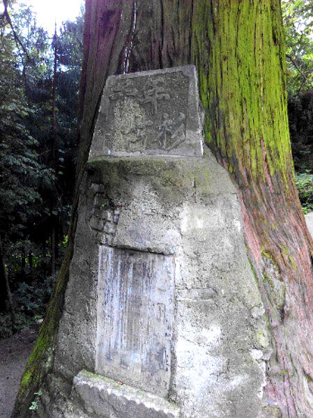 观音寺寺