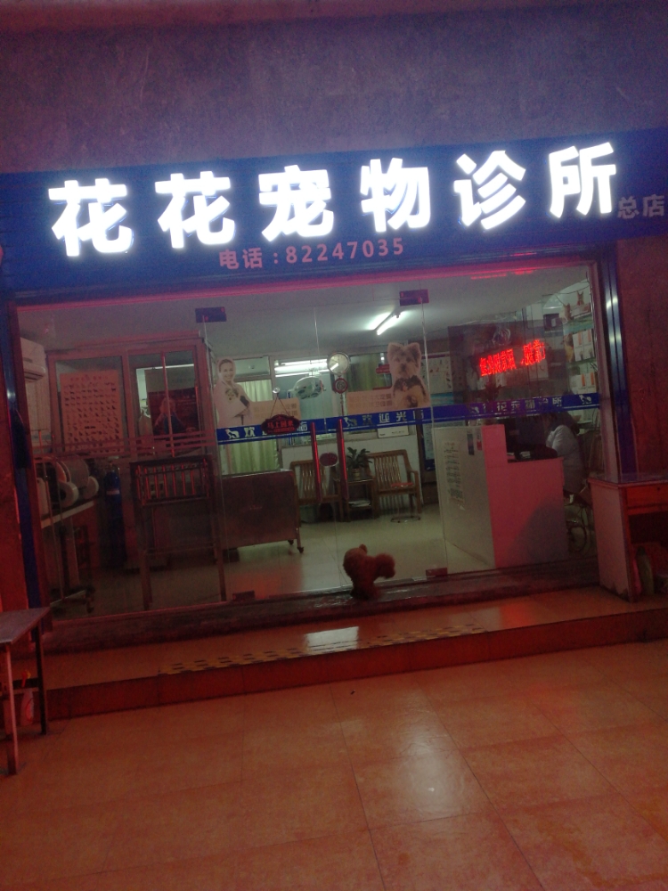 花花宠物诊所