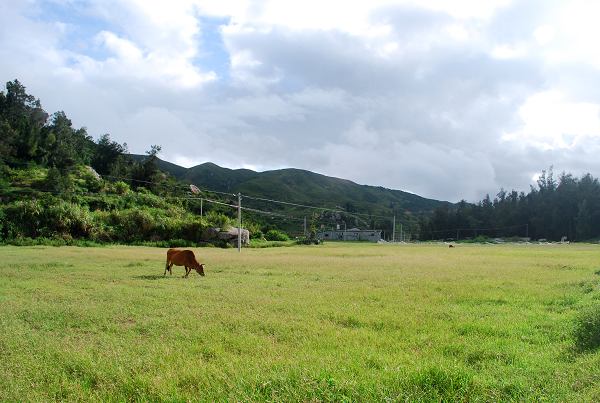 大金城堡