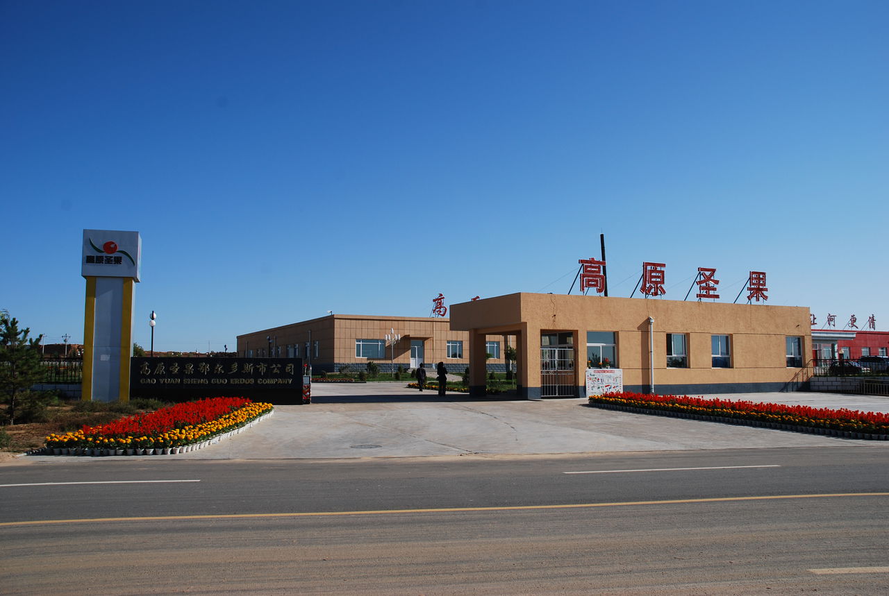 原圣果鄂尔多斯市公司