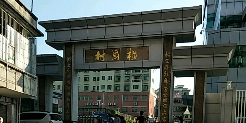 广东省深圳市龙岗区横岗街道