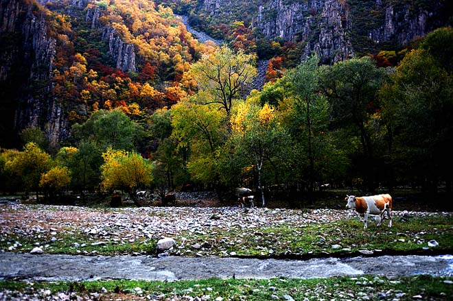 黑龙山森林公园