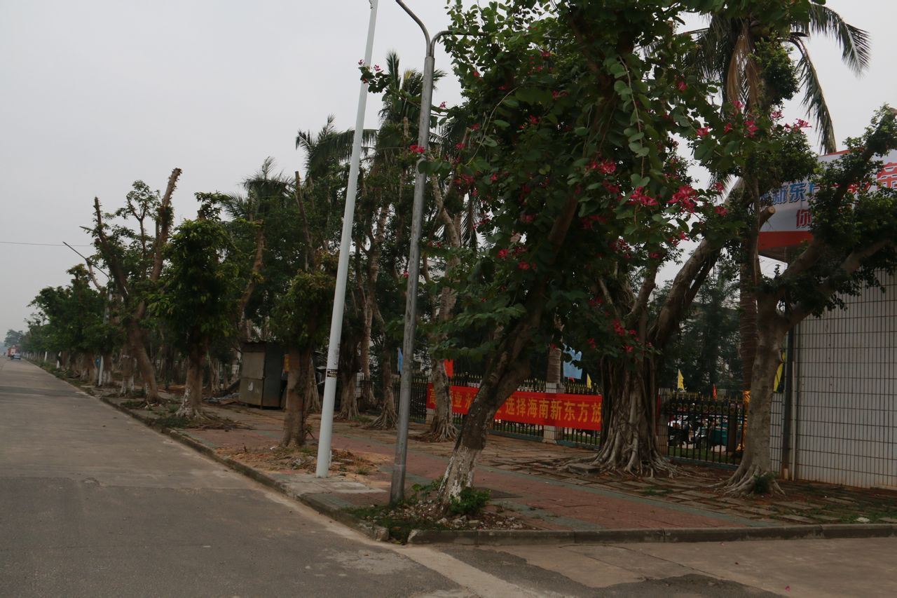 海南新东方烹饪高级技工学校