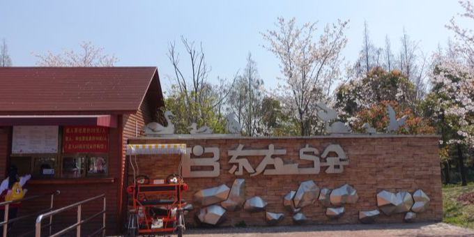 东方鸟世界