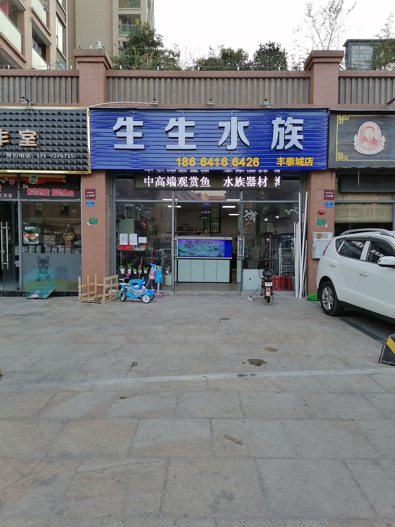 生生水族(丰泰城店)