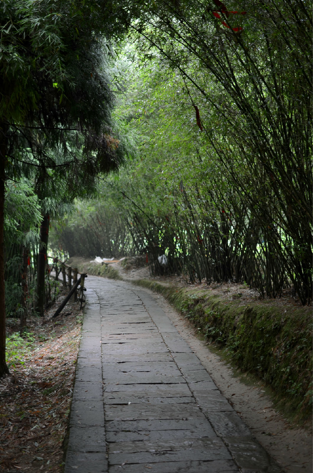 七彩山飞瀑