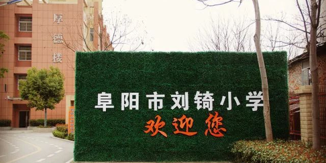 阜阳市刘锜小学