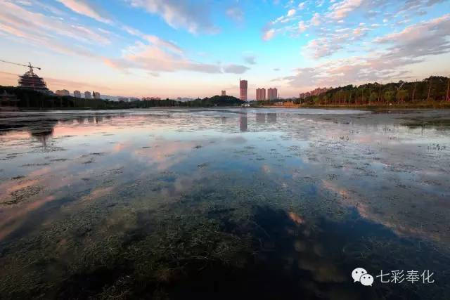 奉化仁湖文化公园