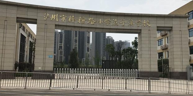 泸州市梓橦路小学渔子溪学校