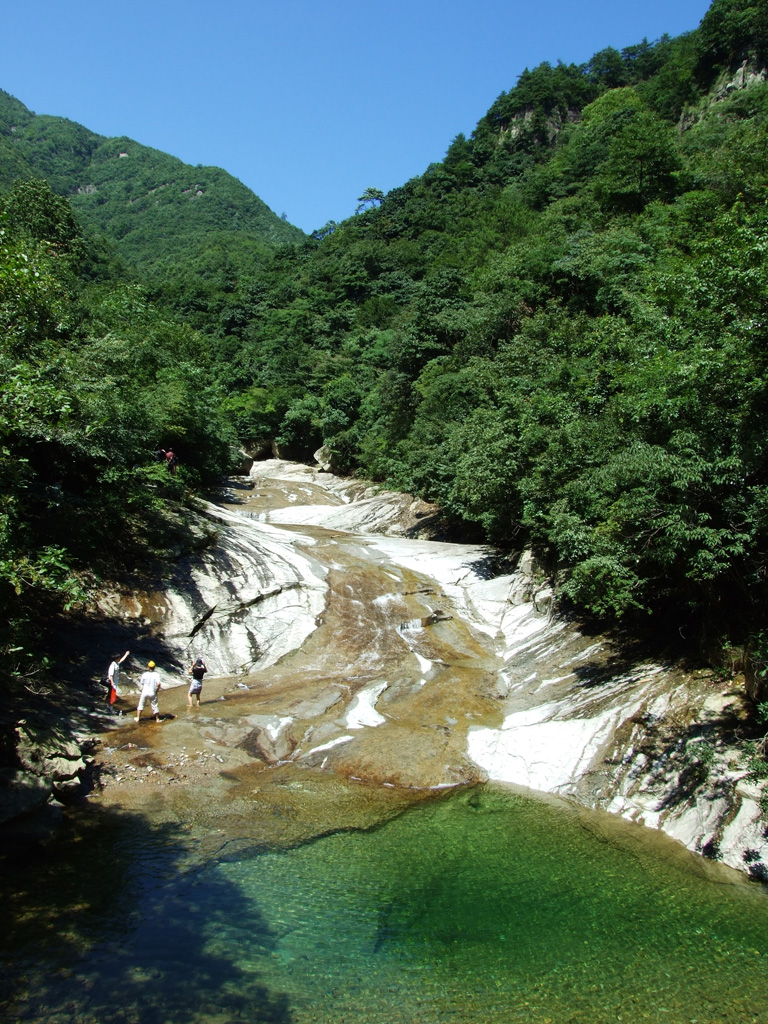 浙江省杭州市临安区清凉峰国家级自然保护区(侯龙线南)