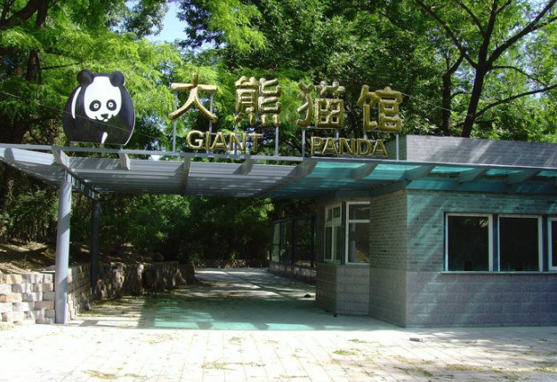北京动物园-奥运熊猫馆