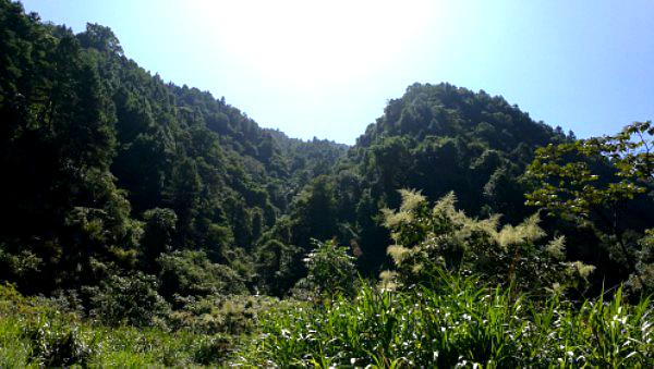 南山禅寺