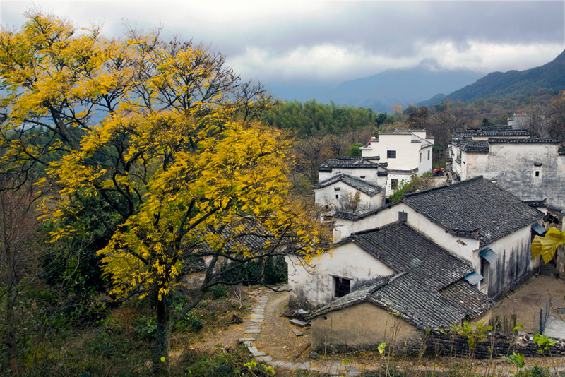 黄山市黟县一零二乡道