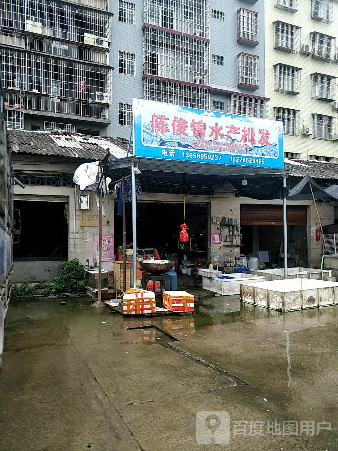 陈俊锦水产批发