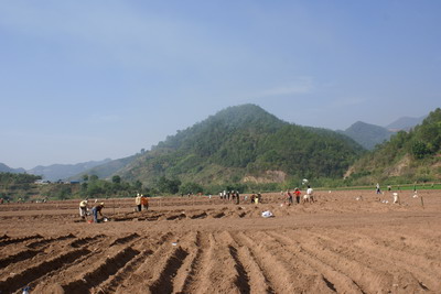 玻烈河风景