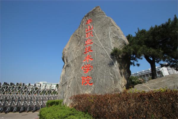 山东省泰安市泰山区天烛峰路281号