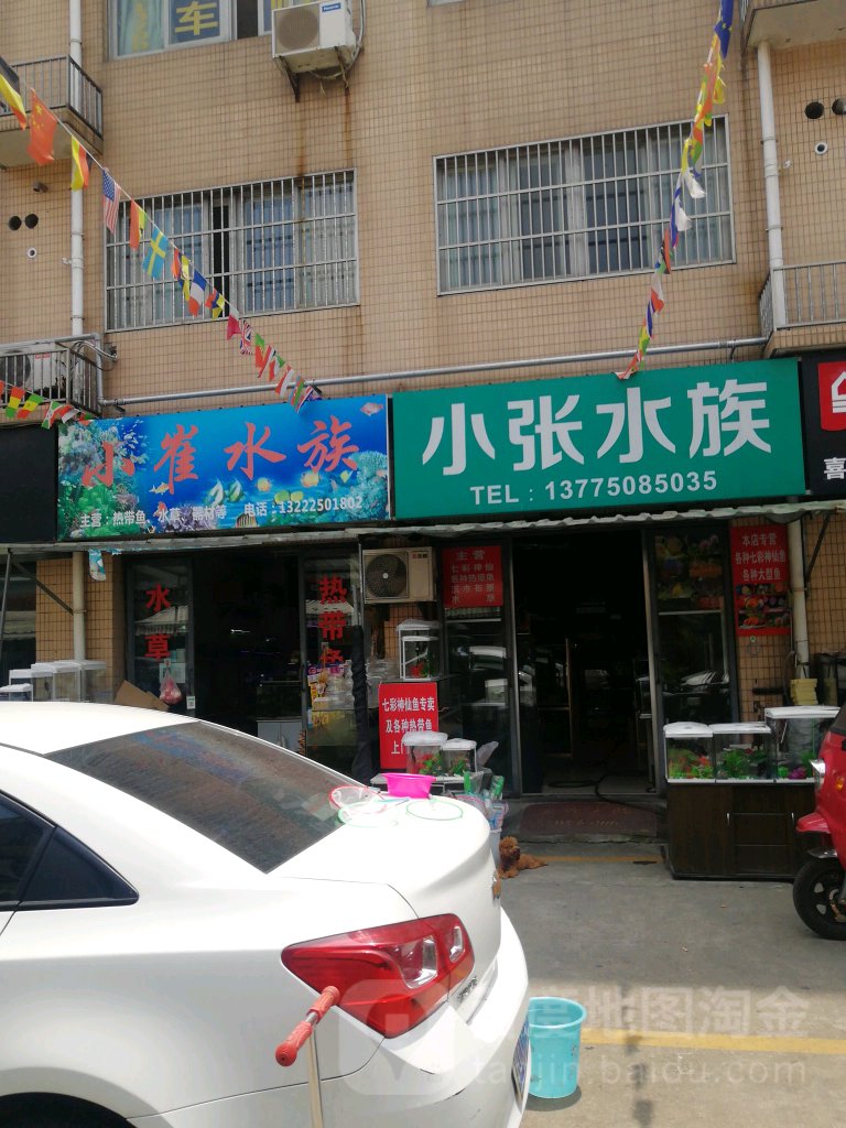 小崔水景