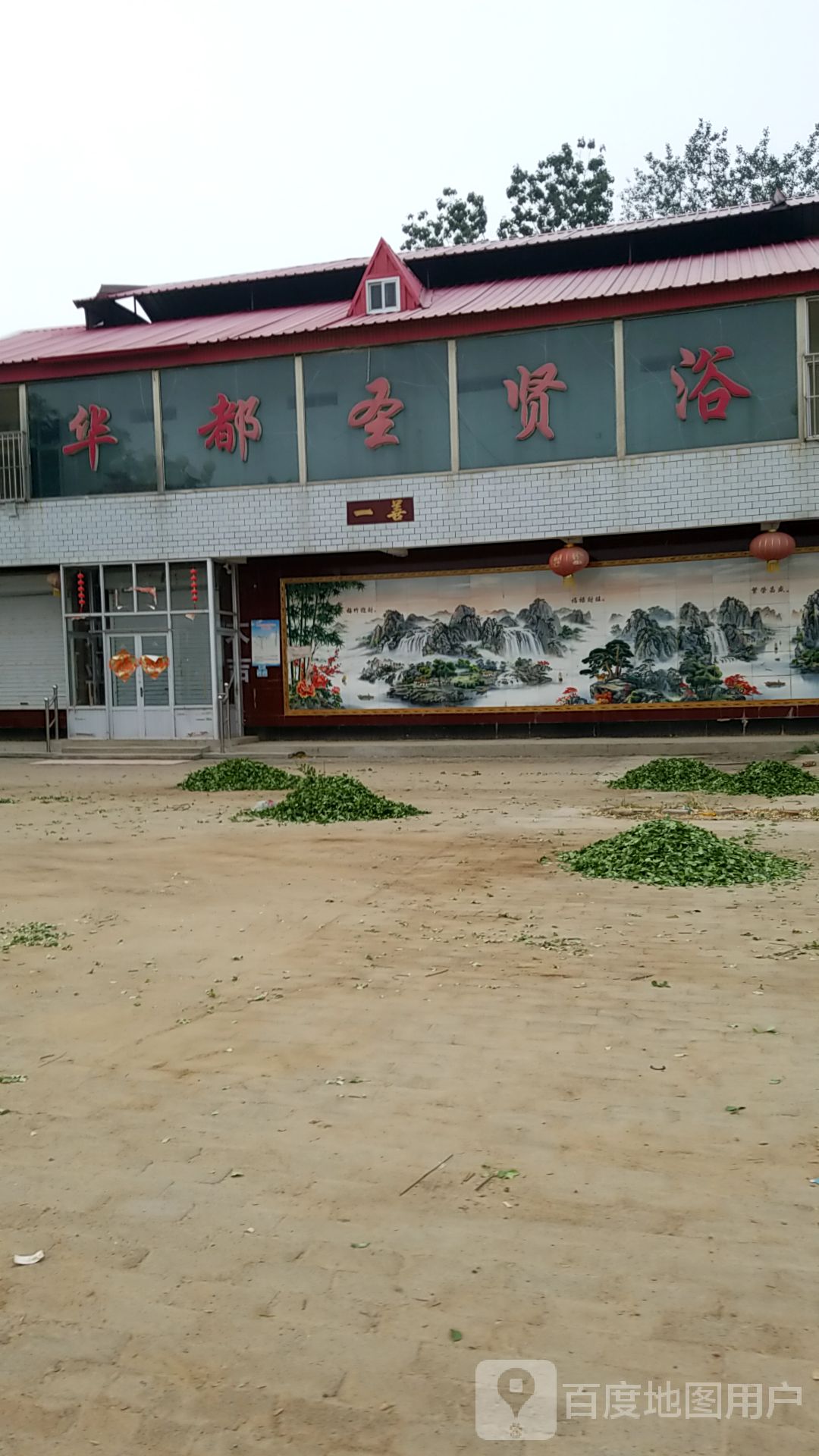 华都圣贤榆
