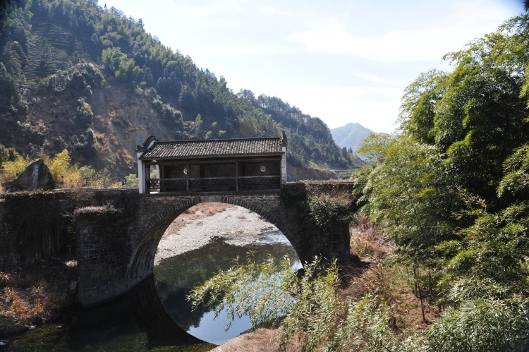 三棵树景区