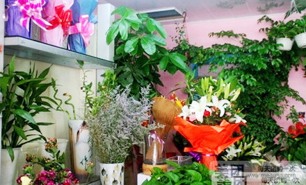 都市花苑(清泉店)
